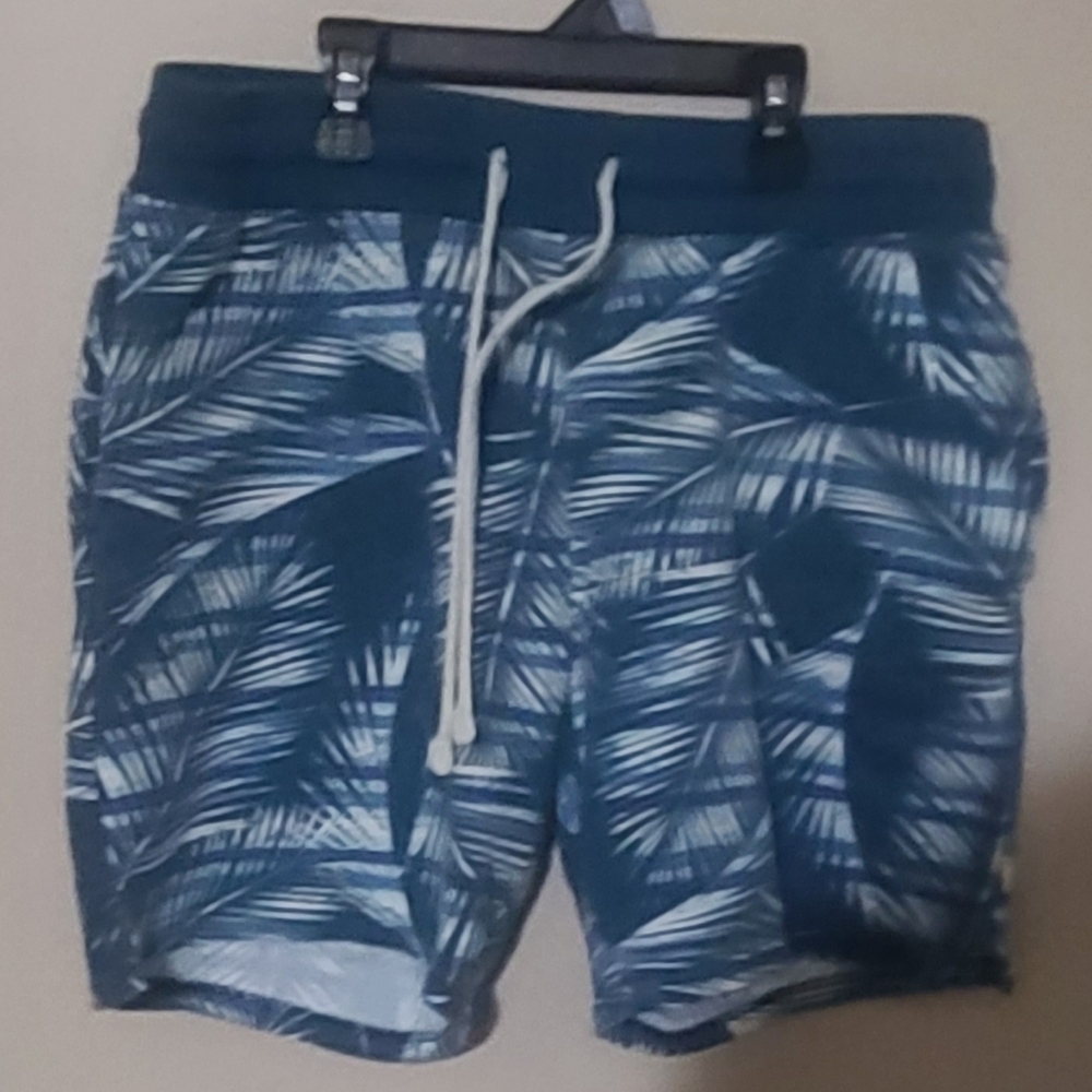 No Boundaries Blue and White Palm Swim Shorts
